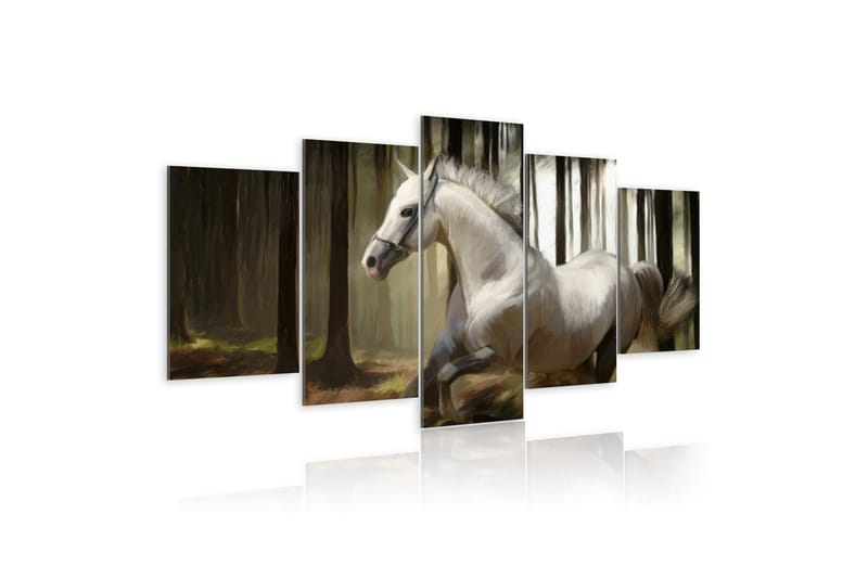 Tavla Horse Running 100x50, Artgeist sp. z o. o.