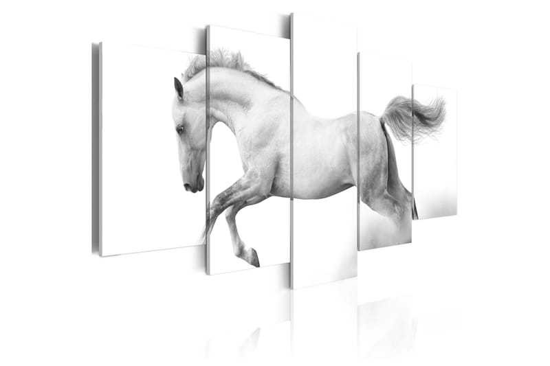 Tavla Horse- Passion And Freedom 100x50, Artgeist sp. z o. o.