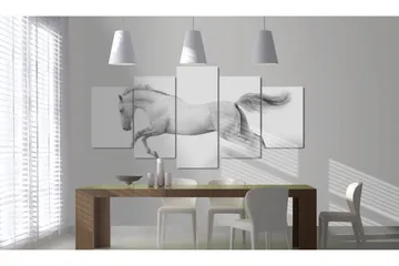 Tavla Horse- Passion And Freedom 200x100 - Artgeist sp. z o. o. - Inredning & dekor - Tavlor & konst - Canvastavla