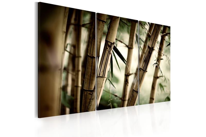 Tavla In A Tropical Forest 120X80 Flerfärgad|Vit - Artgeist sp. z o. o. - Canvastavla