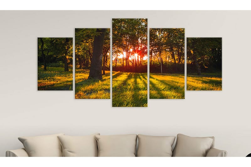 Tavla In The Shade Of Forest 100x50 - Artgeist sp. z o. o. - Inredning & dekor - Tavlor & konst - Canvastavla