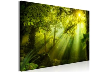 Tavla In the Sunshine (1 Part) Wide 120x80 - Artgeist sp. z o. o. - Inredning & dekor - Tavlor & konst - Canvastavla