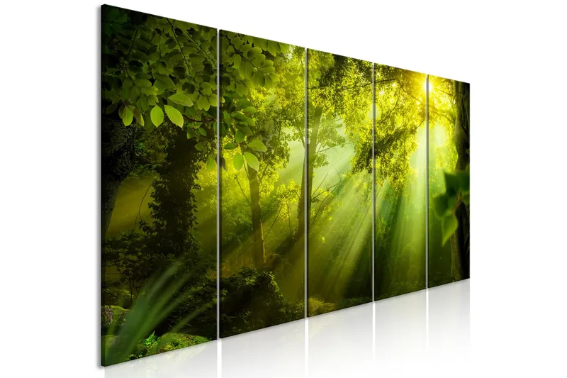 Tavla In The Sunshine 5 Parts Narrow 200x80, Artgeist sp. z o. o.