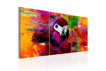Tavla Jungle of Colours 60x30 - Artgeist sp. z o. o. - Inredning & dekor - Tavlor & konst - Canvastavla
