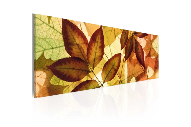 TAVLA kollage löv 135x45 - Artgeist sp. z o. o. - Inredning & dekor - Tavlor & konst - Canvastavla