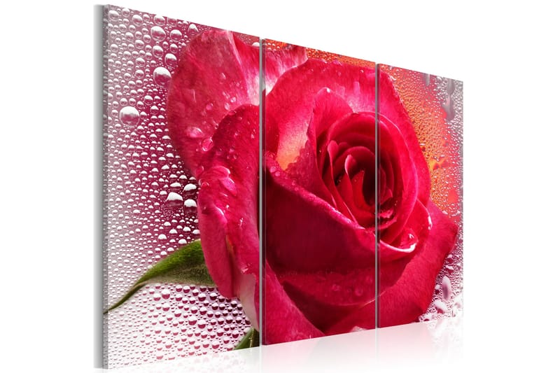 Tavla Lady Rose Triptych 120x80, Artgeist sp. z o. o.