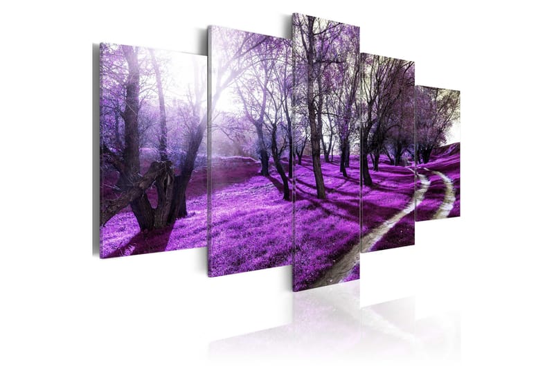 Tavla Lavender Orchard 100x50, Artgeist sp. z o. o.