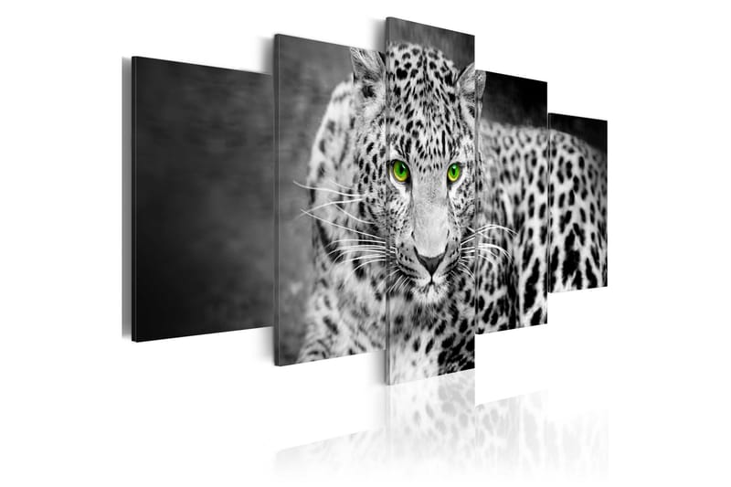 Tavla Leopard Black&White 200X100 Grå|Vit - Artgeist sp. z o. o. - Inredning & dekor - Tavlor & konst - Canvastavla