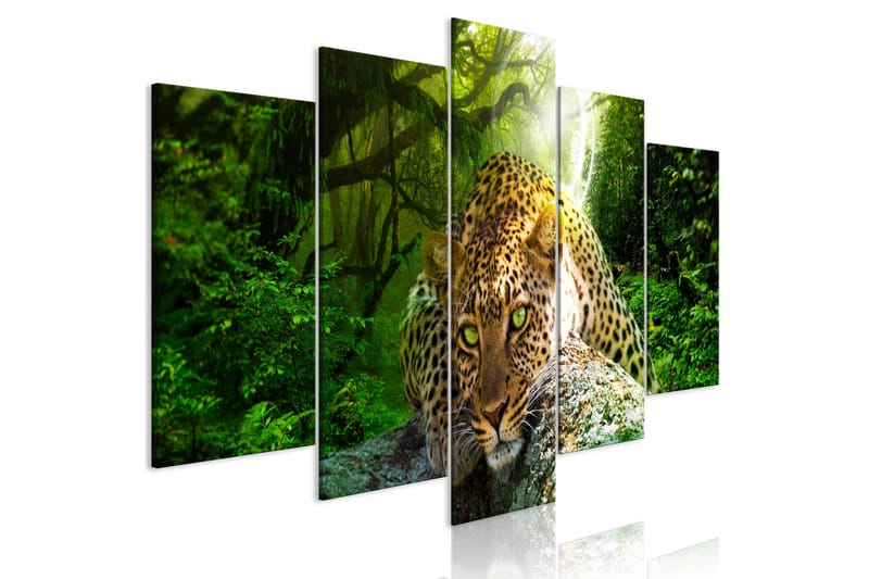 Tavla Leopard Lying 5 Parts Wide Green 100x50, Artgeist sp. z o. o.