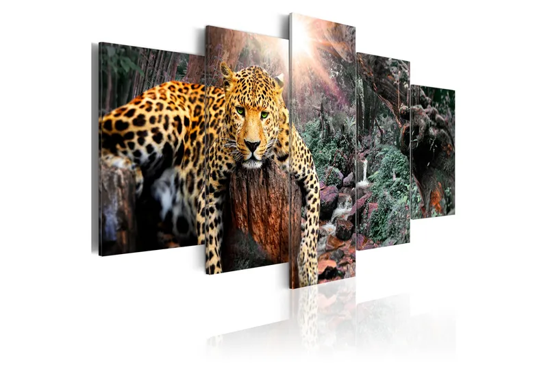 Tavla Leopard Relaxation 100x50 - Artgeist sp. z o. o. - Inredning & dekor - Tavlor & konst - Canvastavla