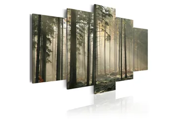 Tavla Light In A Dark Forest 100X50 Vit
