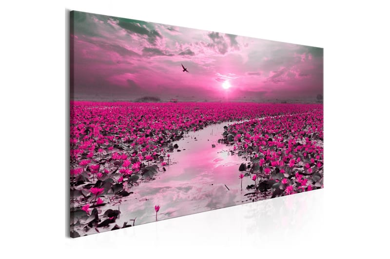 Tavla Lilies and Sunset (1 Part) Narrow 150x50 - Inredning & dekor - Tavlor & konst - Canvastavla