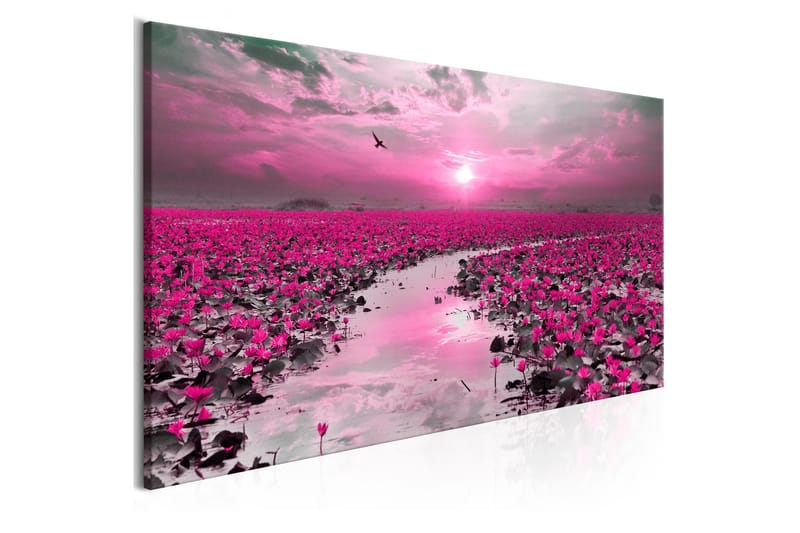 TAVLA Lilies and Sunset (1 Part) Narrow 135x45 - Artgeist sp. z o. o. - Inredning & dekor - Tavlor & konst - Canvastavla