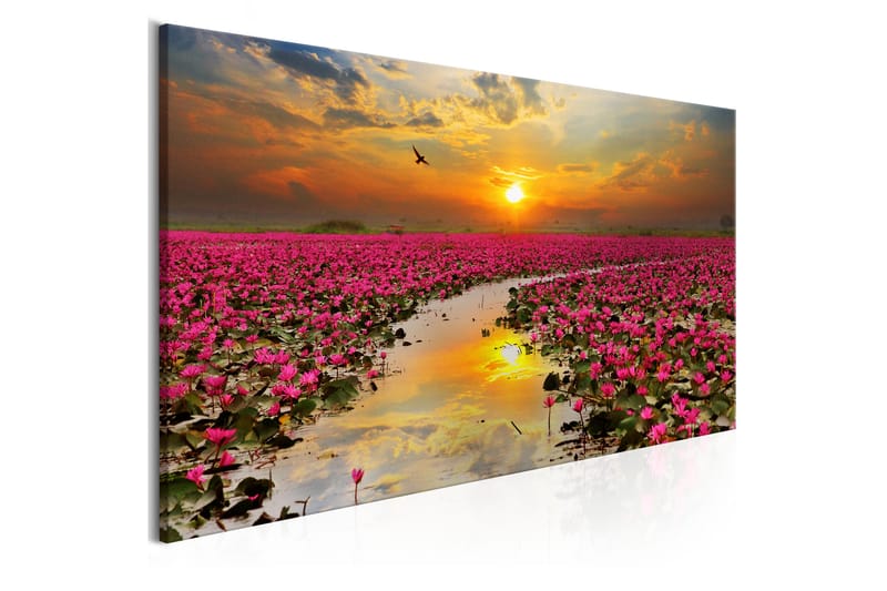 TAVLA Lily Field (1 Part) Narrow 150x50 - Artgeist sp. z o. o. - Inredning & dekor - Tavlor & konst - Canvastavla