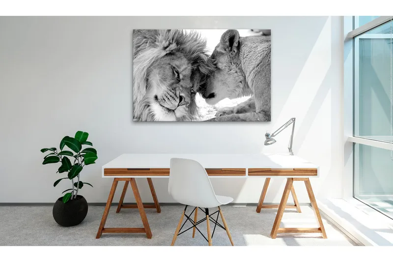 Tavla Lion's Love 90x60, Artgeist sp. z o. o.