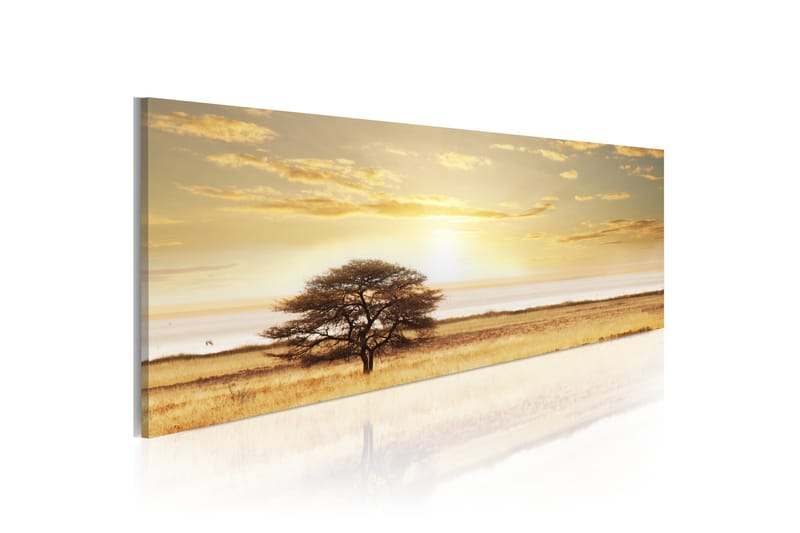 Tavla Lonely Tree On Savannah 135x45 cm
