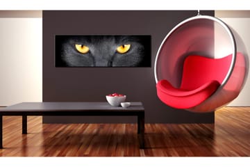 Tavla Look Into My Eyes 120x40 - Artgeist sp. z o. o. - Inredning & dekor - Tavlor & konst - Canvastavla