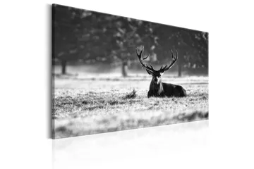 Tavla Lying Deer 90x60 - Artgeist sp. z o. o. - Inredning & dekor - Tavlor & konst - Canvastavla