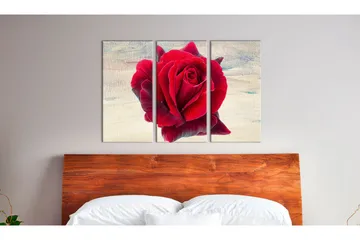 Tavla Lyrical Rose 120x80 - Artgeist sp. z o. o. - Inredning & dekor - Tavlor & konst - Canvastavla