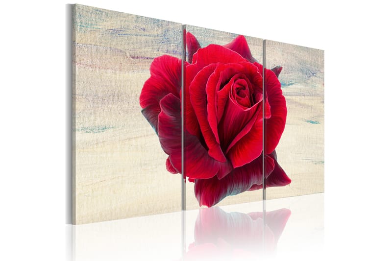 Tavla Lyrical Rose 60x40 - Artgeist sp. z o. o. - Inredning & dekor - Tavlor & konst - Canvastavla