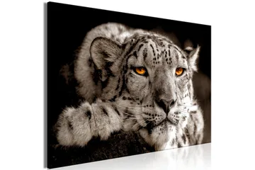 Tavla Magic Eyes (1 Part) Wide 120x80 - Artgeist sp. z o. o. - Inredning & dekor - Tavlor & konst - Canvastavla