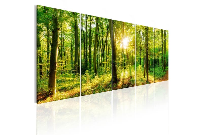 Tavla Magic Forest 225X90 Vit, Artgeist sp. z o. o.