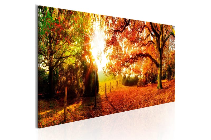 Tavla Magic Of Autumn 150x50, Artgeist sp. z o. o.