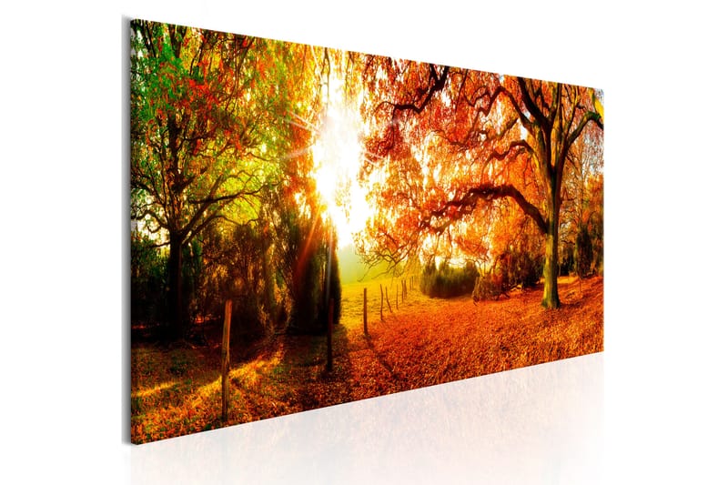 Tavla Magic Of Autumn 150X50 Orange|Flerfärgad Landskap - Artgeist sp. z o. o. - Inredning & dekor - Tavlor & konst - Canvastavla