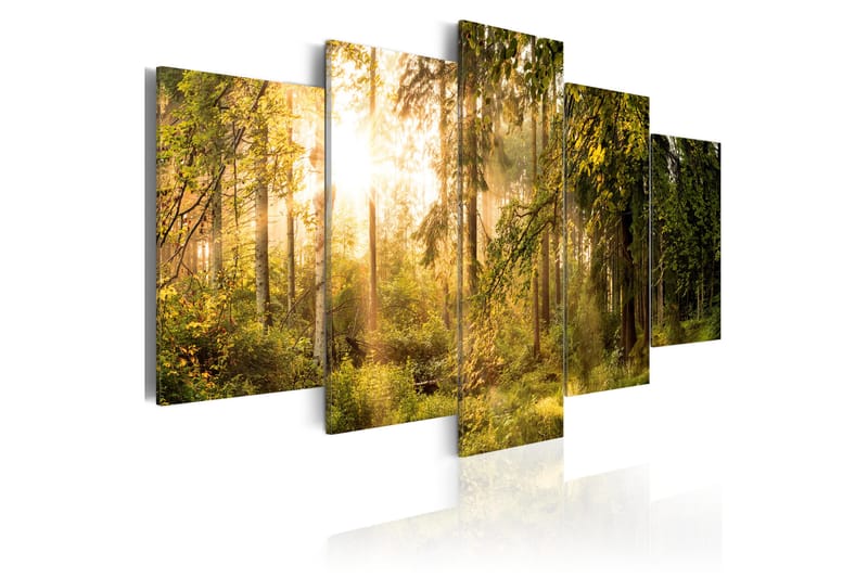 Tavla Magic Of Forest 100X50 Vit, Artgeist sp. z o. o.