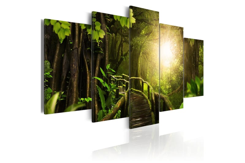 Tavla Magical Jungle 100x50 - Artgeist sp. z o. o. - Inredning & dekor - Tavlor & konst - Canvastavla