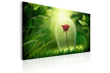 Tavla Magical Rose 60x40 - Artgeist sp. z o. o. - Inredning & dekor - Tavlor & konst - Canvastavla