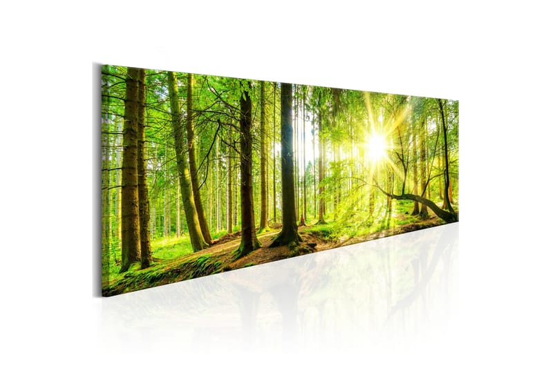Tavla Majestic Trees 120x40, Artgeist sp. z o. o.