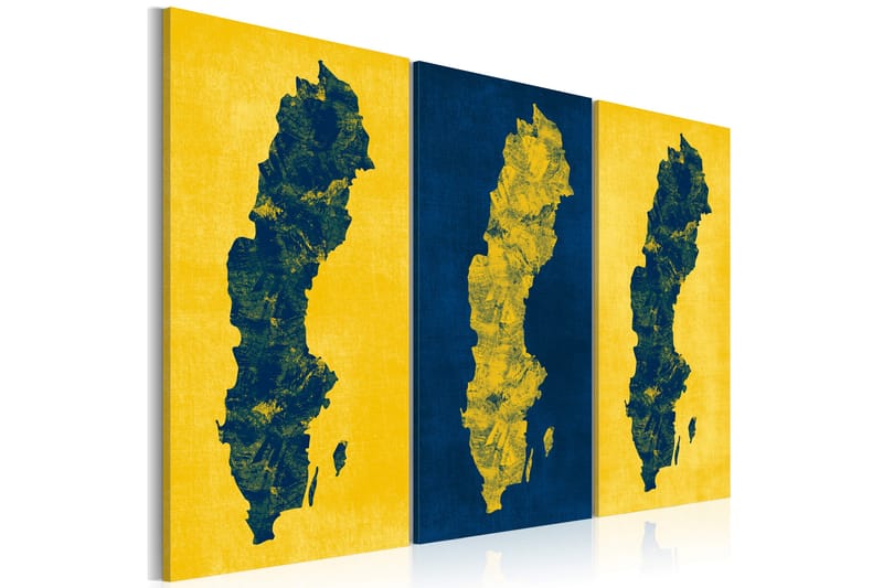 TAVLA Målad karta över Sverige triptyk 90x60 - Artgeist sp. z o. o. - Canvastavla