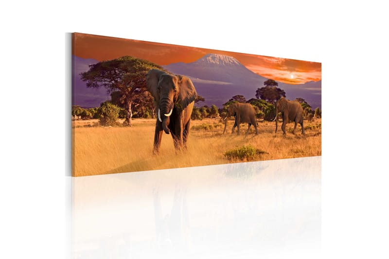 Tavla March Of African Elephants 135x45, Artgeist sp. z o. o.