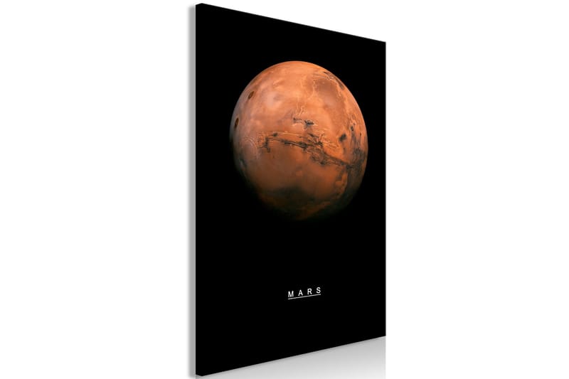 Tavla Mars (1 Part) Vertical 40x60 - Artgeist sp. z o. o. - Inredning & dekor - Tavlor & konst - Canvastavla