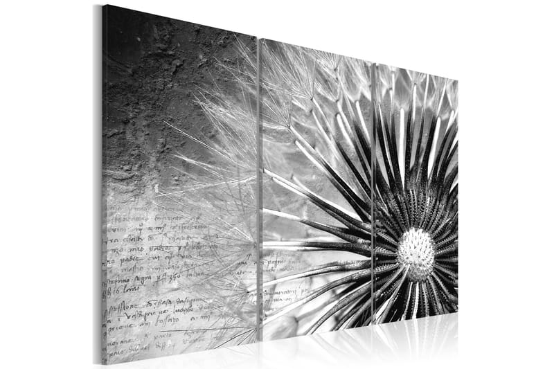 TAVLA maskros (svart och vitt) 90x60 - Artgeist sp. z o. o. - Inredning & dekor - Tavlor & konst - Canvastavla