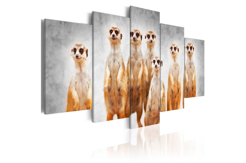 Tavla Meerkats 200x100, Artgeist sp. z o. o.