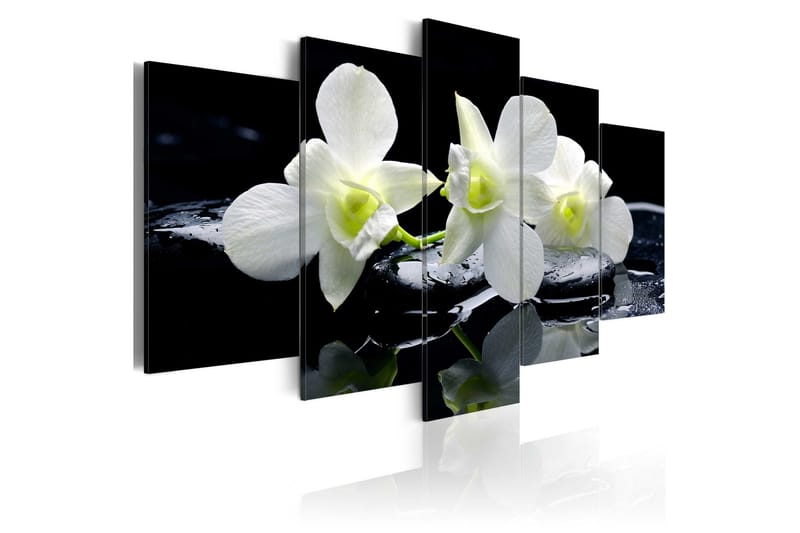 Tavla Melancholic Orchids 200x100, Artgeist sp. z o. o.