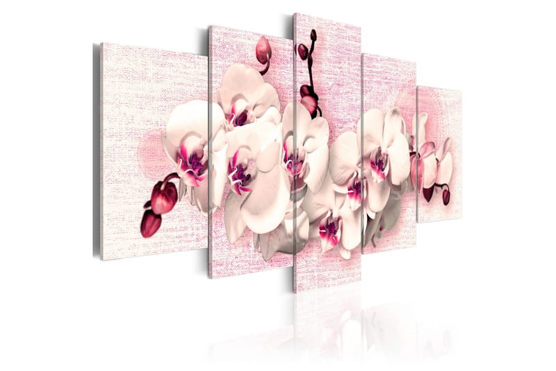 Tavla Metafor Av Feminitet 5 St 200x100, Artgeist sp. z o. o.