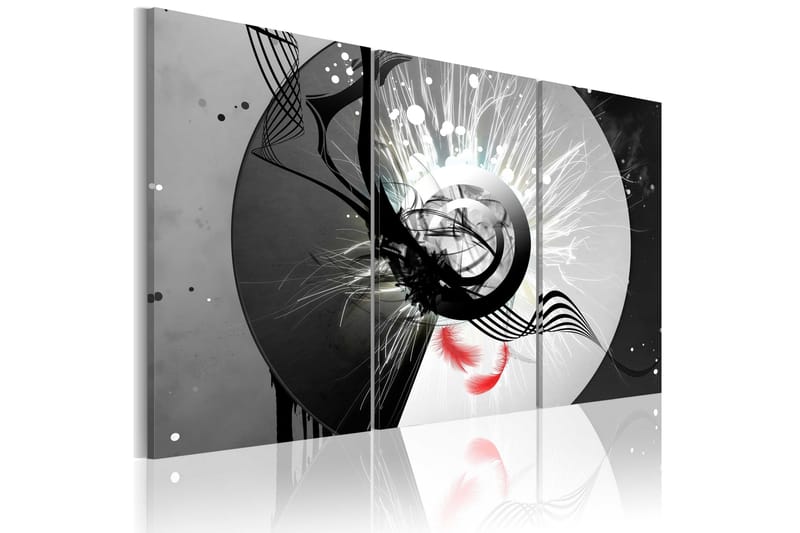 Tavla Metal Circle & Red Feathers 60x40, Artgeist sp. z o. o.