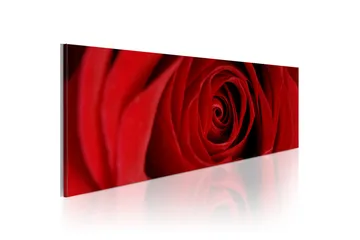 Tavla Midnight Rose 120X40 Röd
