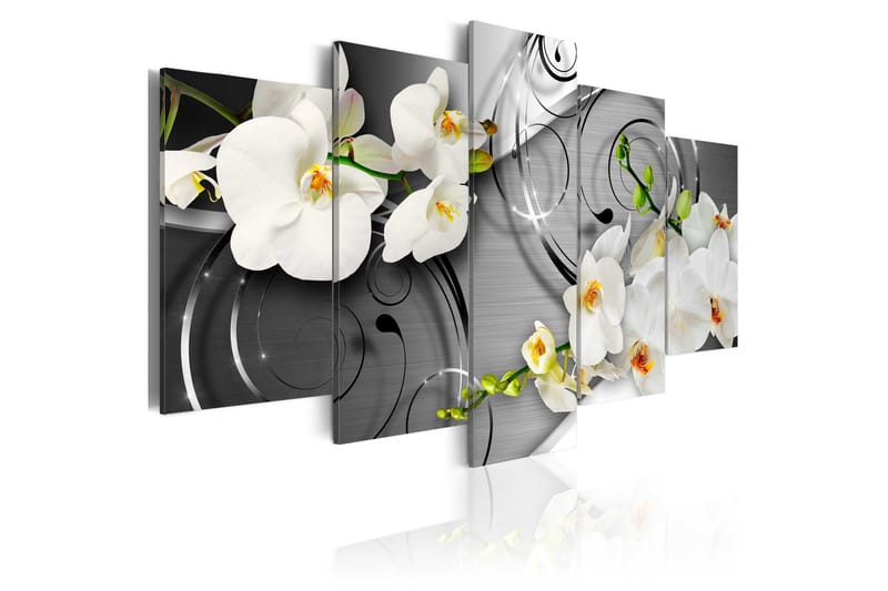 Tavla Milky Orchids 100X50 Grå|Vit, Artgeist sp. z o. o.