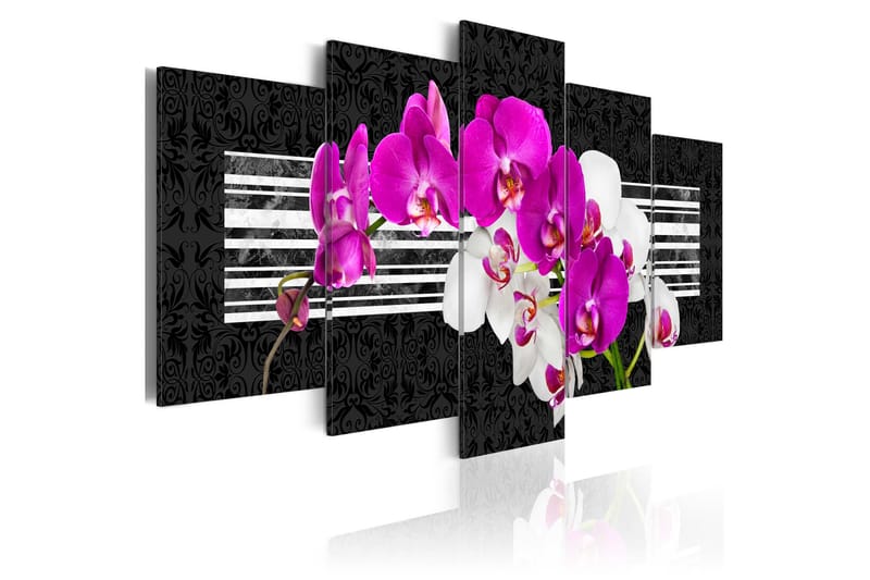 Tavla Modest Orchids 100x50, Artgeist sp. z o. o.