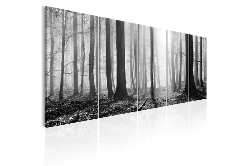 Tavla Monochrome Forest 225x90, Artgeist sp. z o. o.