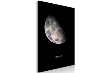 Tavla Moon (1 Part) Vertical 40x60 - Artgeist sp. z o. o. - Inredning & dekor - Tavlor & konst - Canvastavla