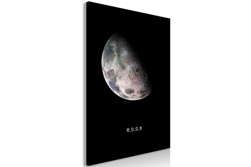 TAVLA Moon (1 Part) Vertical 60x90 - Artgeist sp. z o. o. - Inredning & dekor - Tavlor & konst - Canvastavla