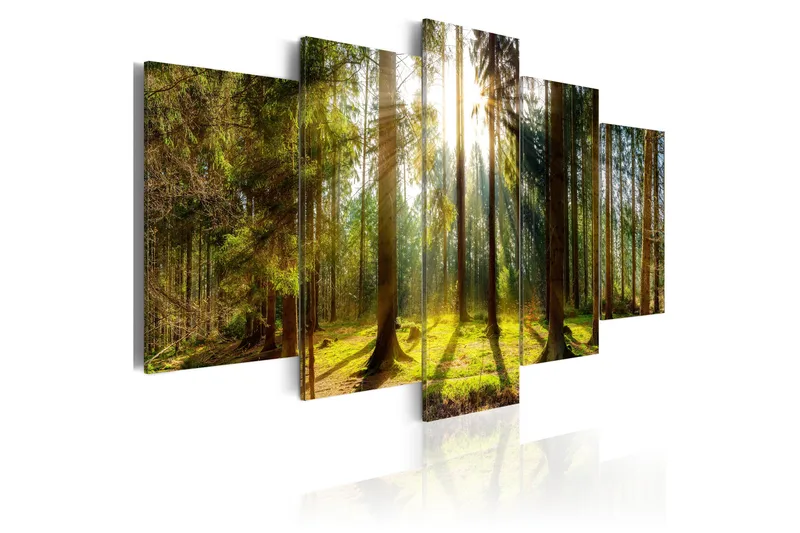 Tavla Morning Awakening 100X50 Gul|Flerfärgad, Artgeist sp. z o. o.