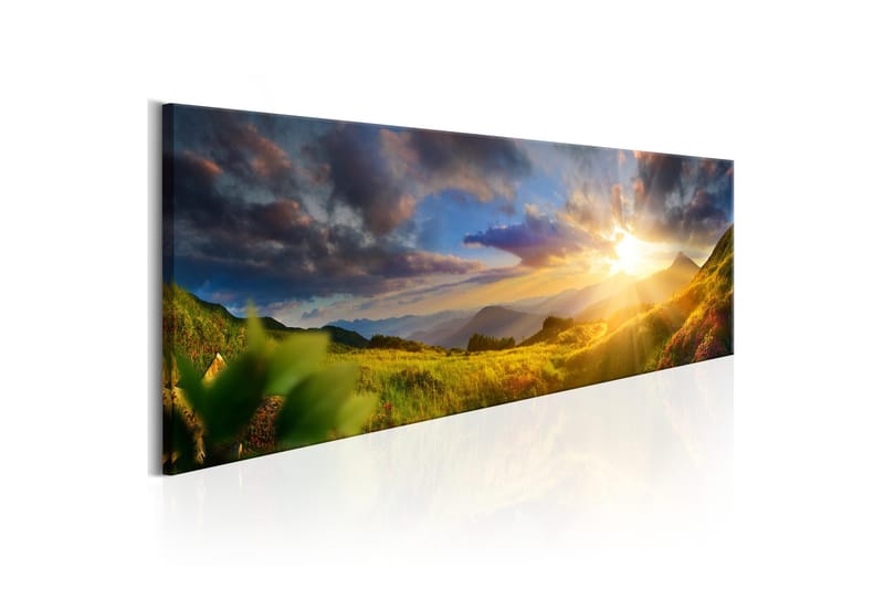 Tavla Morning Enchantment 135x45 - Artgeist sp. z o. o. - Inredning & dekor - Tavlor & konst - Canvastavla