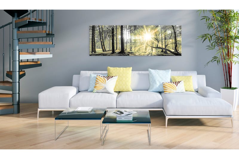 Tavla Morning Forest 150x50 - Artgeist sp. z o. o. - Inredning & dekor - Tavlor & konst - Canvastavla
