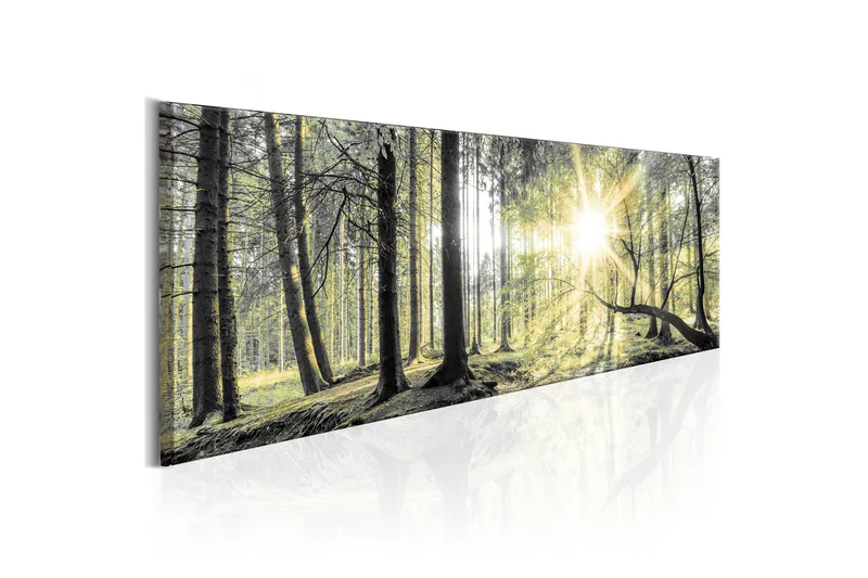 Tavla Morning Forest 150x50 - Artgeist sp. z o. o. - Inredning & dekor - Tavlor & konst - Canvastavla